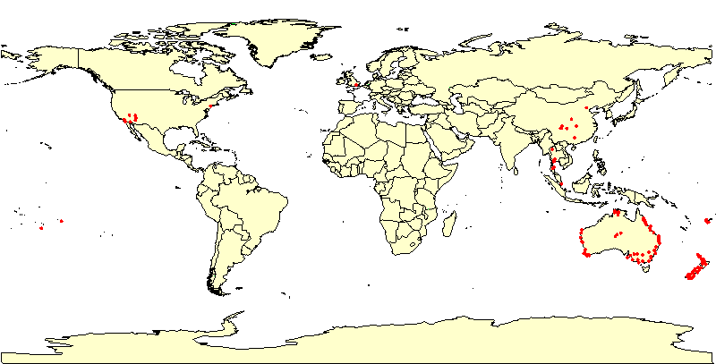World Map